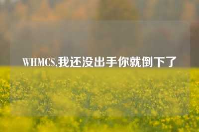 WHMCS,我还没出手你就倒下了