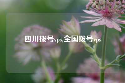 四川拨号vps,全国拨号vps
