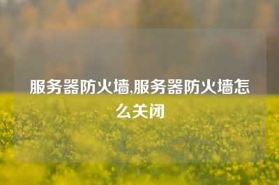 服务器防火墙,服务器防火墙怎么关闭