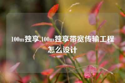 100m独享,100m独享带宽传输工程怎么设计