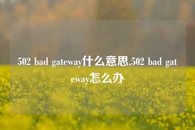 502 bad gateway什么意思,502 bad gateway怎么办
