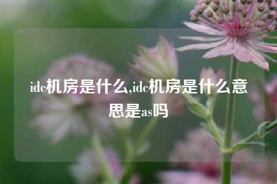 idc机房是什么,idc机房是什么意思是as吗