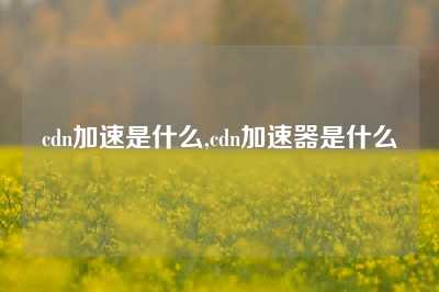 cdn加速是什么,cdn加速器是什么