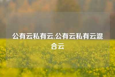 公有云私有云,公有云私有云混合云