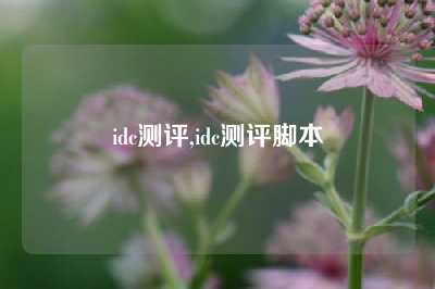 idc测评,idc测评脚本