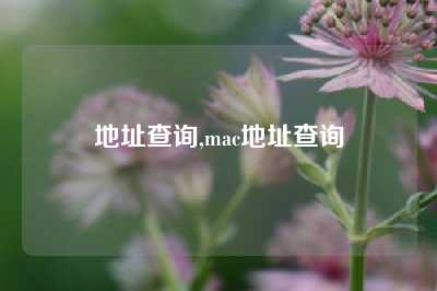 地址查询,mac地址查询