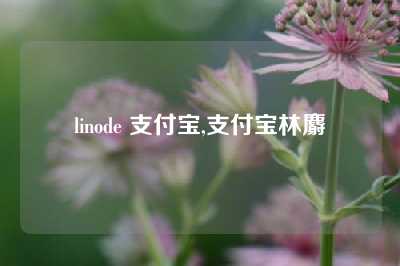 linode 支付宝,支付宝林麝