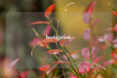 hostigation