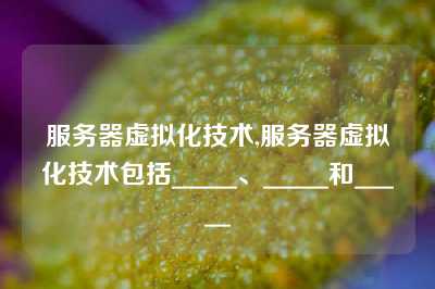 服务器虚拟化技术,服务器虚拟化技术包括_____、_____和_____