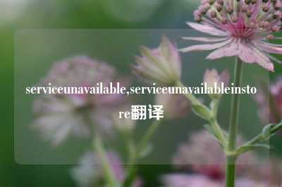 serviceunavailable,serviceunavailableinstore翻译