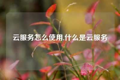 云服务怎么使用,什么是云服务