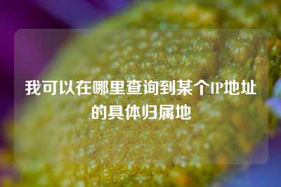 我可以在哪里查询到某个IP地址的具体归属地