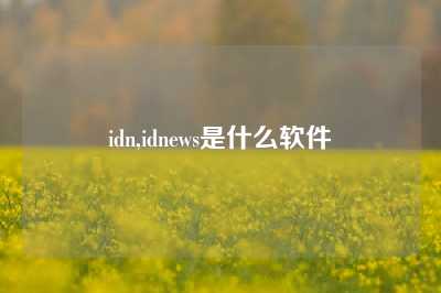 idn,idnews是什么软件