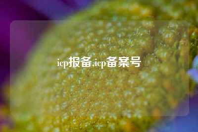 icp报备,icp备案号