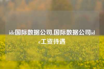 idc国际数据公司,国际数据公司idc工资待遇