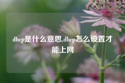 dhcp是什么意思,dhcp怎么设置才能上网
