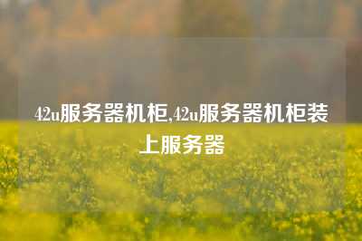 42u服务器机柜,42u服务器机柜装上服务器