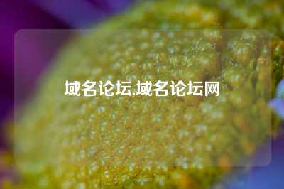 域名论坛,域名论坛网