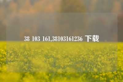 38 103 161,38103161236 下载