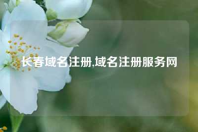 长春域名注册,域名注册服务网