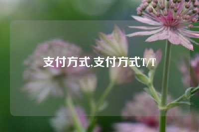 支付方式,支付方式T/T