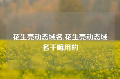 花生壳动态域名,花生壳动态域名干嘛用的