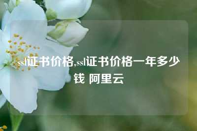 ssl证书价格,ssl证书价格一年多少钱 阿里云