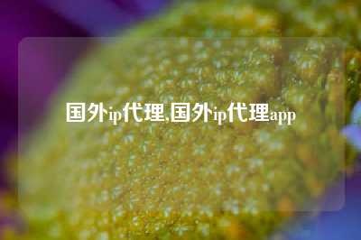 国外ip代理,国外ip代理app