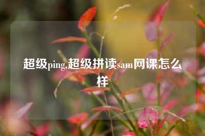 超级ping,超级拼读sam网课怎么样
