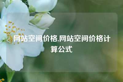 网站空间价格,网站空间价格计算公式