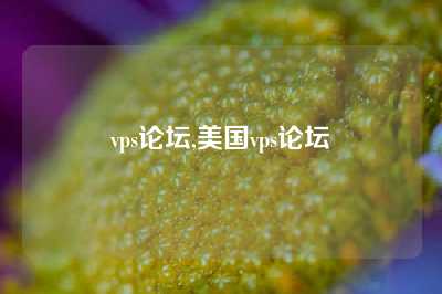 vps论坛,美国vps论坛
