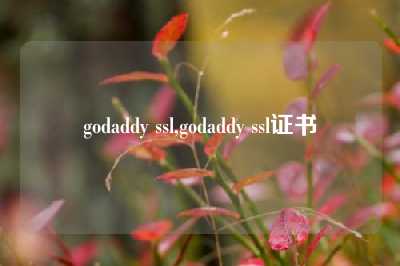 godaddy ssl,godaddy ssl证书