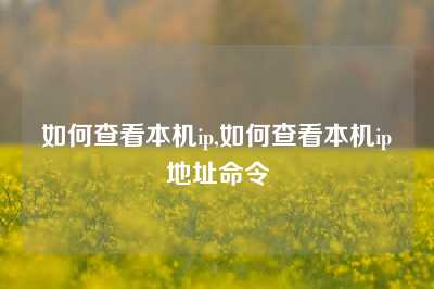 如何查看本机ip,如何查看本机ip地址命令