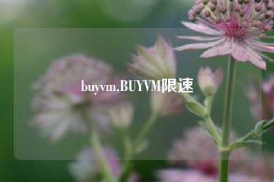 buyvm,BUYVM限速