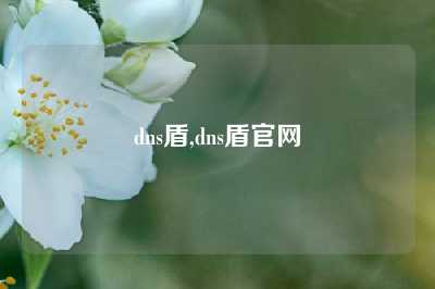 dns盾,dns盾官网