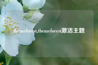 themeforest,themeforest激活主题