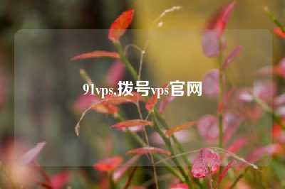 91vps,拨号vps官网