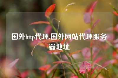 国外http代理,国外网站代理服务器地址