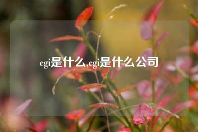 cgi是什么,cgi是什么公司