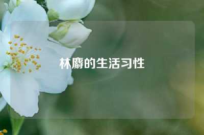 林麝的生活习性