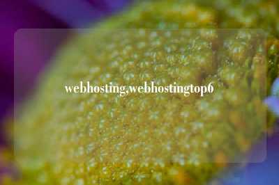 webhosting,webhostingtop6