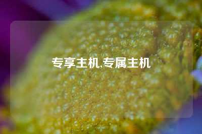 专享主机,专属主机
