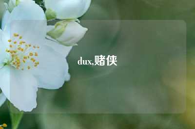 dux,赌侠