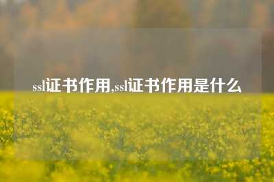 ssl证书作用,ssl证书作用是什么