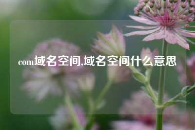 com域名空间,域名空间什么意思