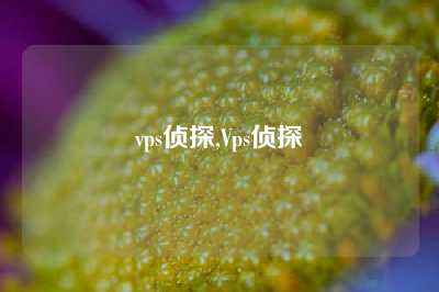 vps侦探,Vps侦探