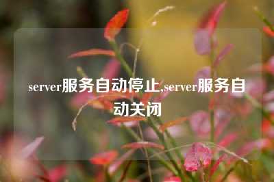 server服务自动停止,server服务自动关闭