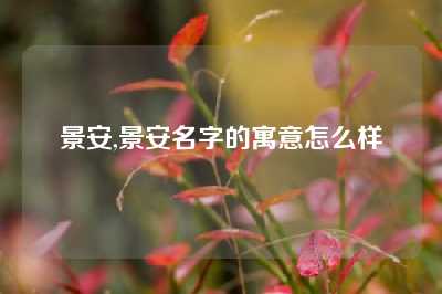 景安,景安名字的寓意怎么样