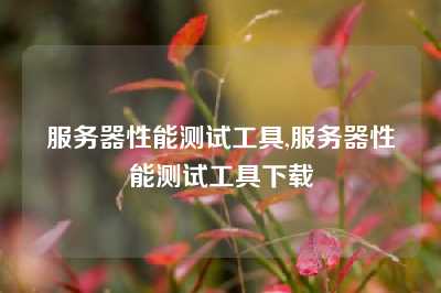 服务器性能测试工具,服务器性能测试工具下载