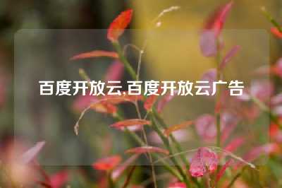 百度开放云,百度开放云广告